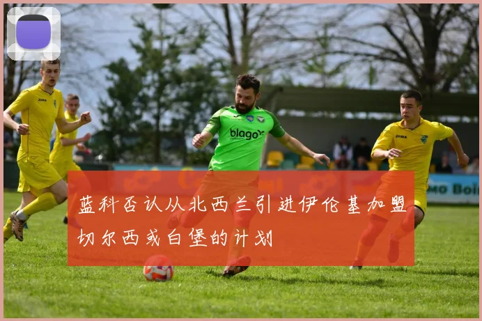 蓝科否认从北西兰引进伊伦基加盟切尔西或白堡的计划