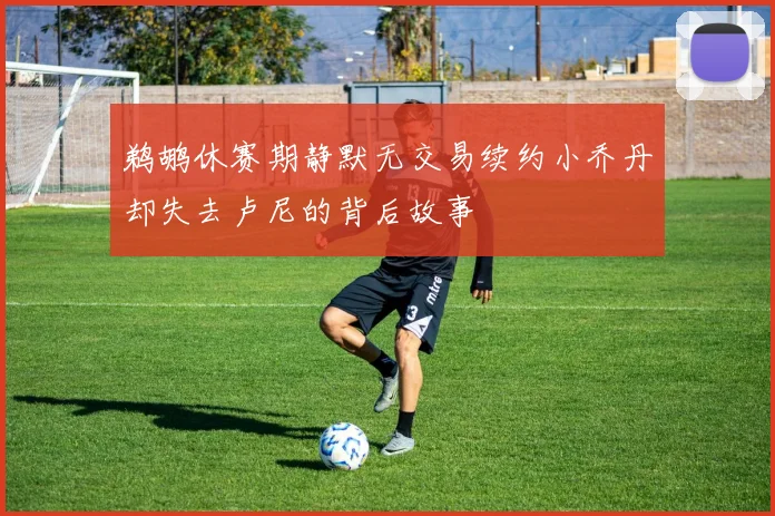 鹈鹕休赛期静默无交易续约小乔丹却失去卢尼的背后故事