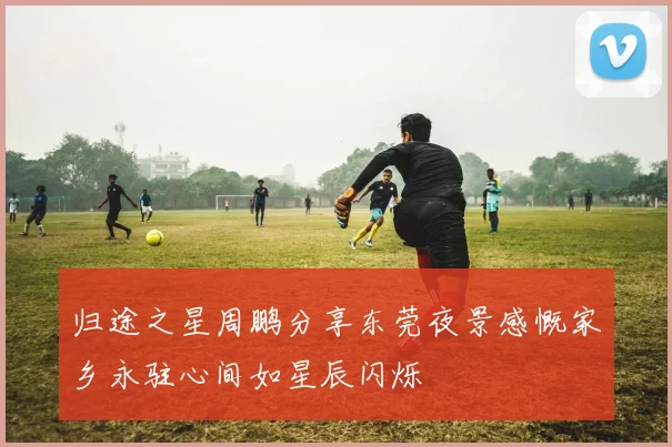 归途之星周鹏分享东莞夜景感慨家乡永驻心间如星辰闪烁
