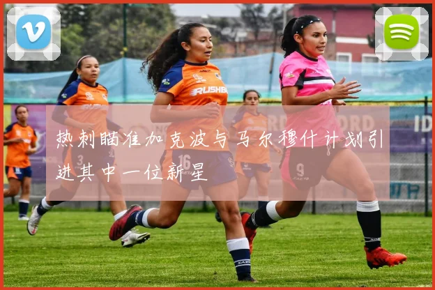 热刺瞄准加克波与马尔穆什计划引进其中一位新星
