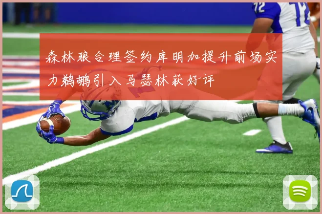 森林狼合理签约库明加提升前场实力鹈鹕引入马瑟林获好评